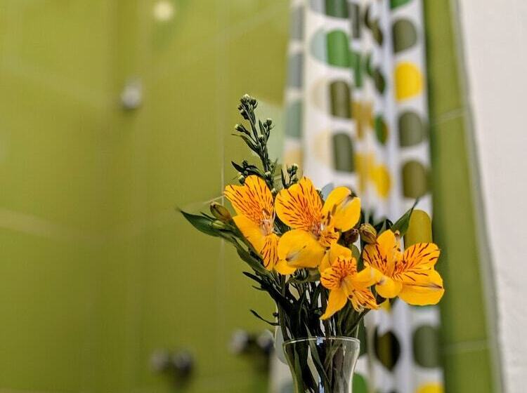 Hostel Venus De Valdivia Aeropuerto