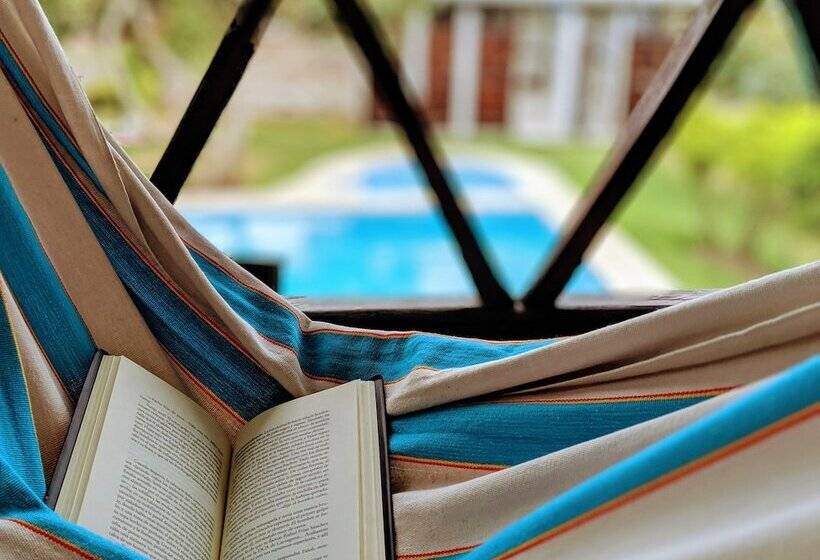 Hostel Venus De Valdivia Aeropuerto