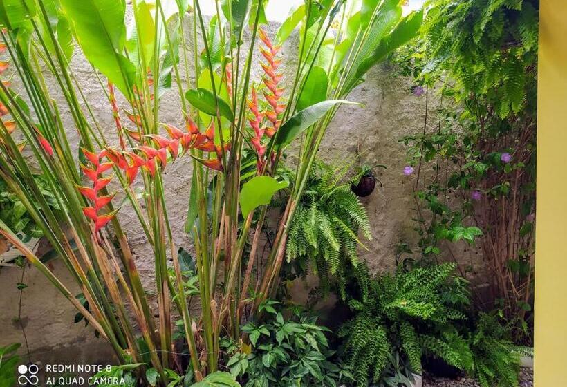 Pension Pousada João Maria