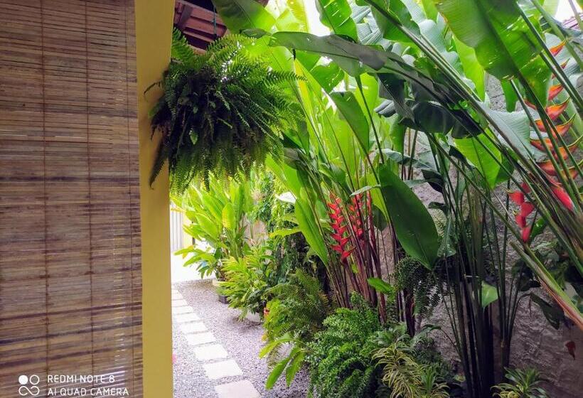 Pension Pousada João Maria