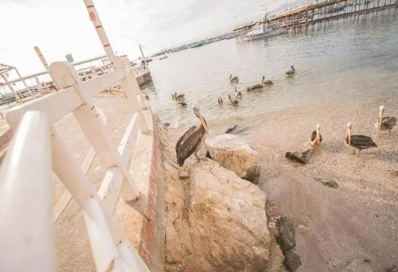 پانسیون Señorio Chiribaya