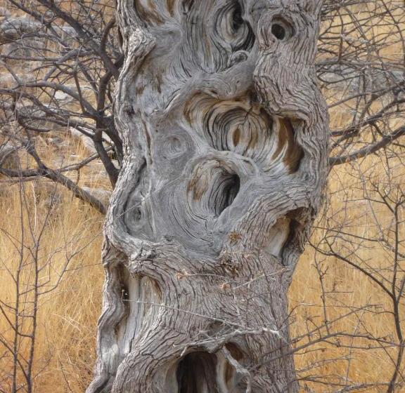 هتل Kassandara Pty Ltd