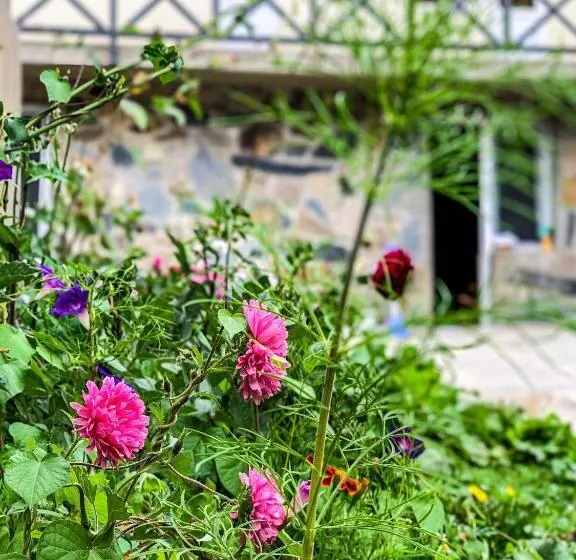 پانسیون Family Hotel Kala