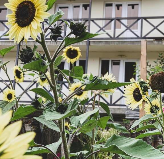 پانسیون Family Hotel Kala