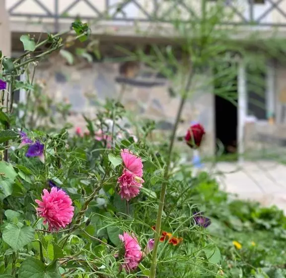 پانسیون Family Hotel Kala