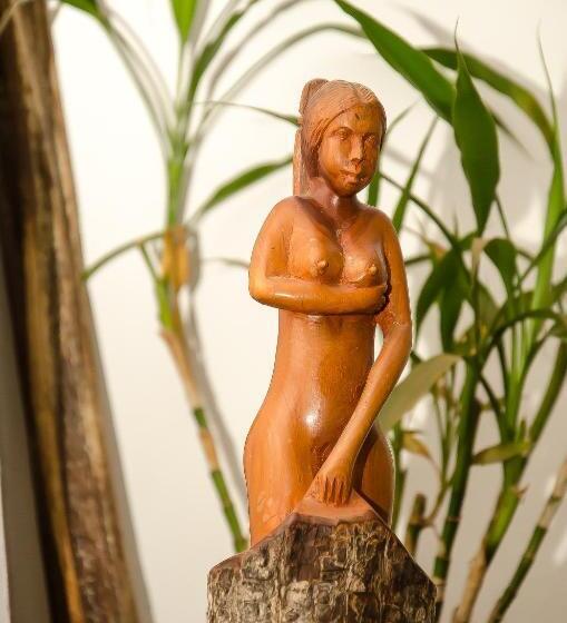 پانسیون Ny Telomiova