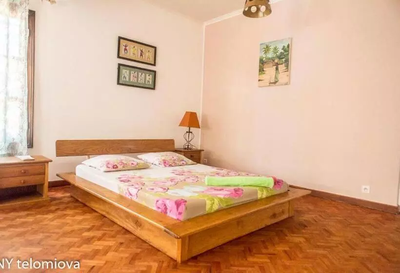 پانسیون Ny Telomiova