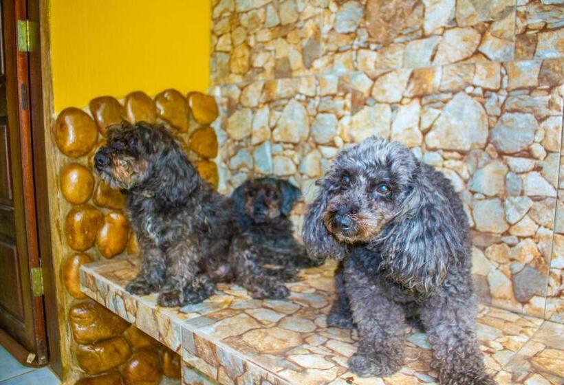 Pension Refúgio Das Fadas