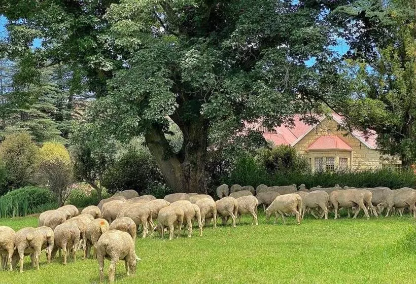 Majatalo St Fort Farm Guesthouse