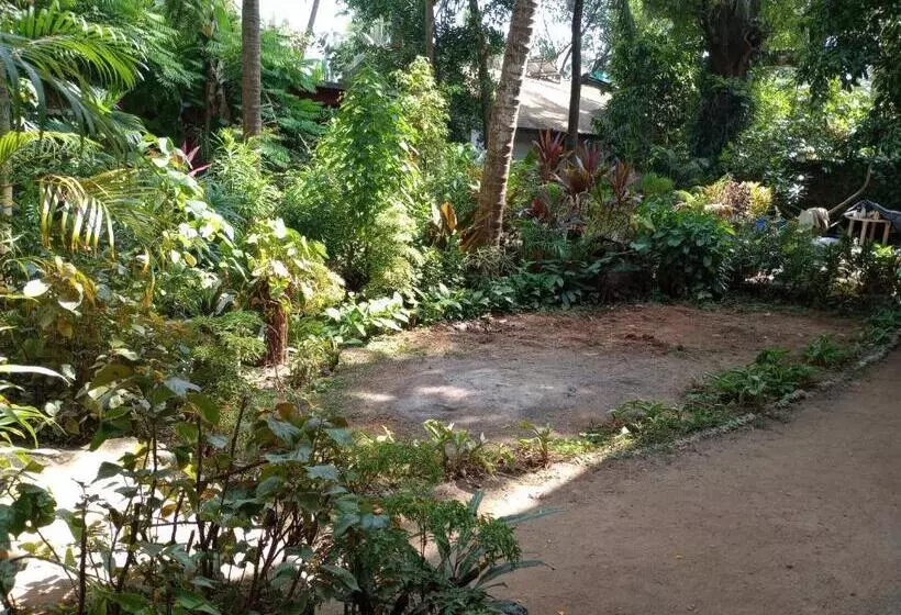 ペンション Adilson Guest House