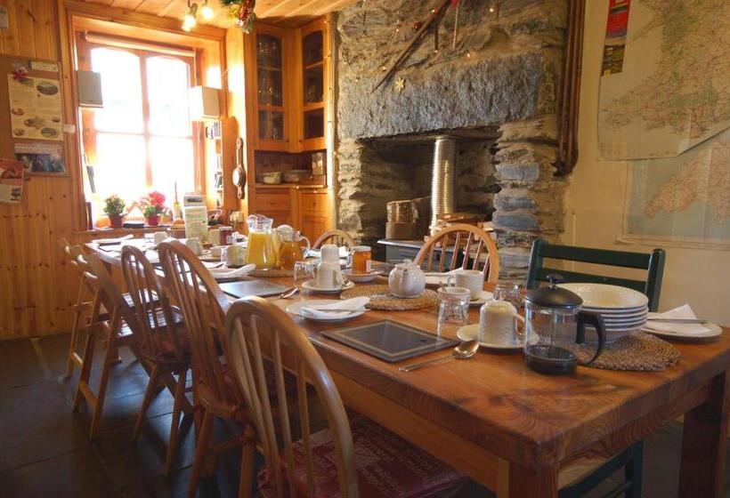 Pensionat Bryn Elltyd Eco House