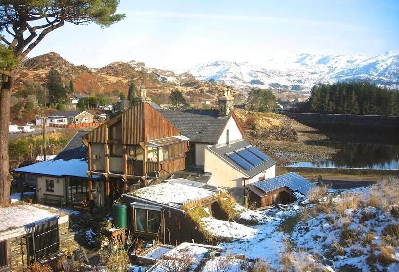 بنسيون Bryn Elltyd Eco House