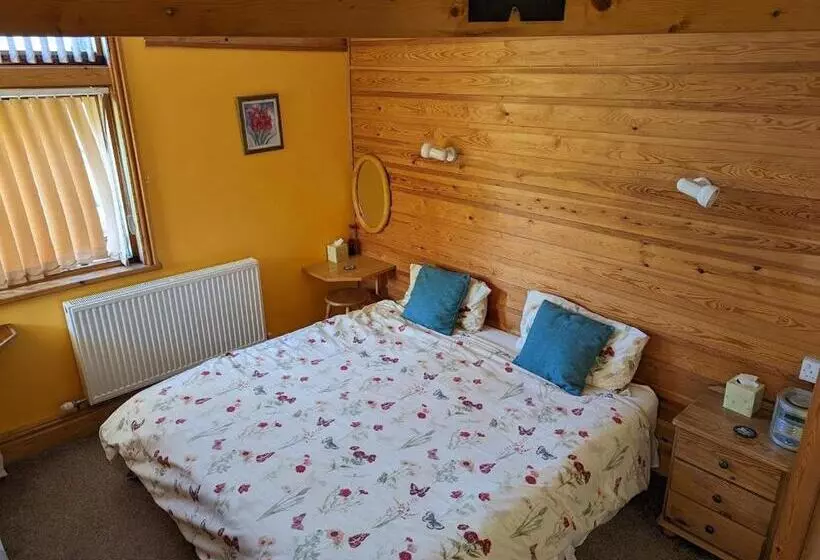 پانسیون Bryn Elltyd Eco House