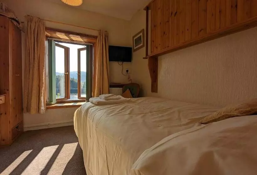 پانسیون Bryn Elltyd Eco House