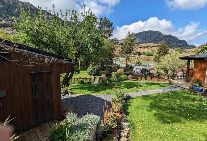 بنسيون Bryn Elltyd Eco House