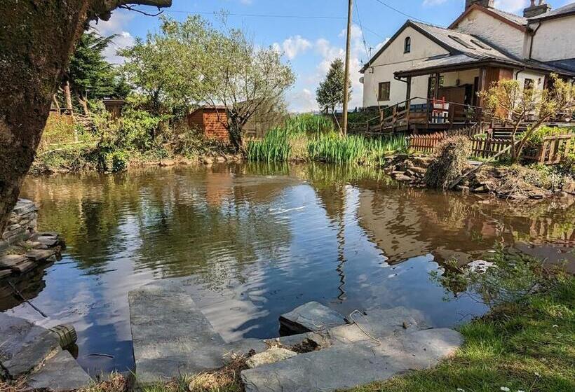 بنسيون Bryn Elltyd Eco House