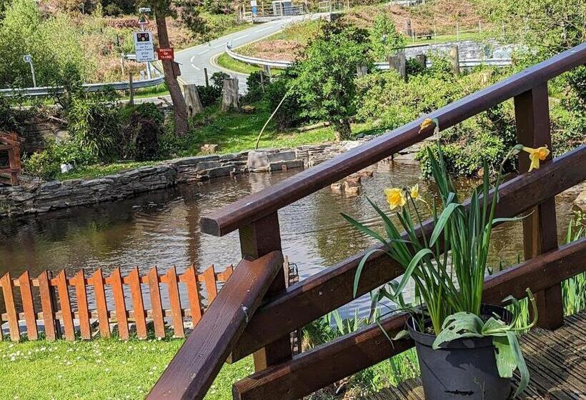 بنسيون Bryn Elltyd Eco House
