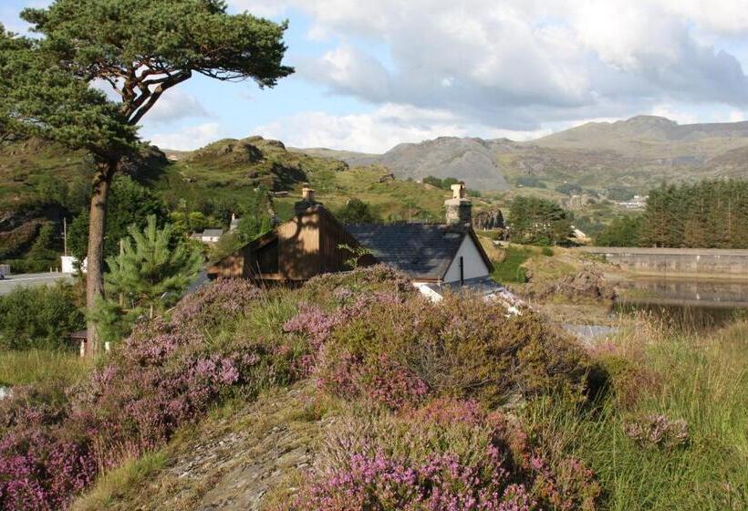 بنسيون Bryn Elltyd Eco House