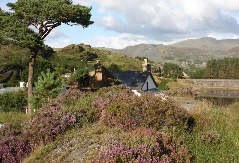 پانسیون Bryn Elltyd Eco House