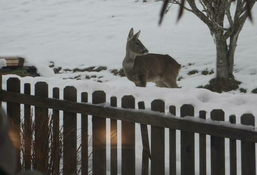 호텔 Bauernhof Bachrain