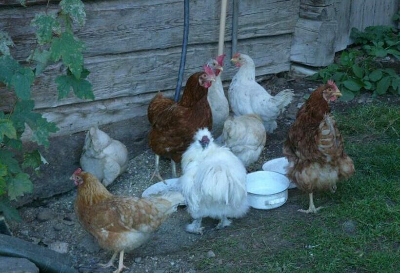 호텔 Bauernhof Bachrain