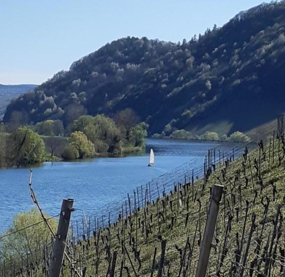 Otel Café Alt Piesport