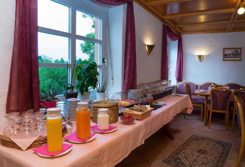 Otel Café Alt Piesport