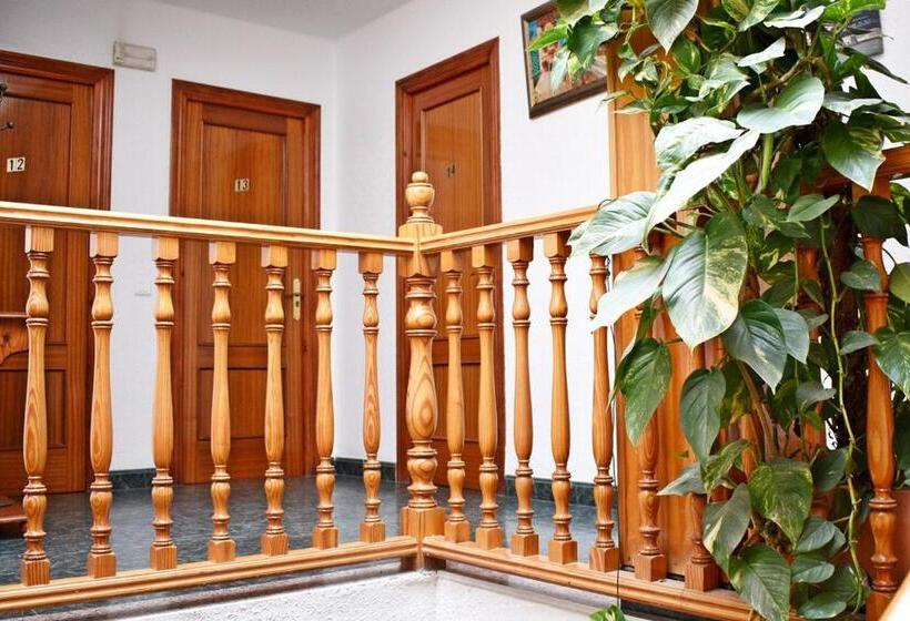 ペンション Hostal Sol Y Mar