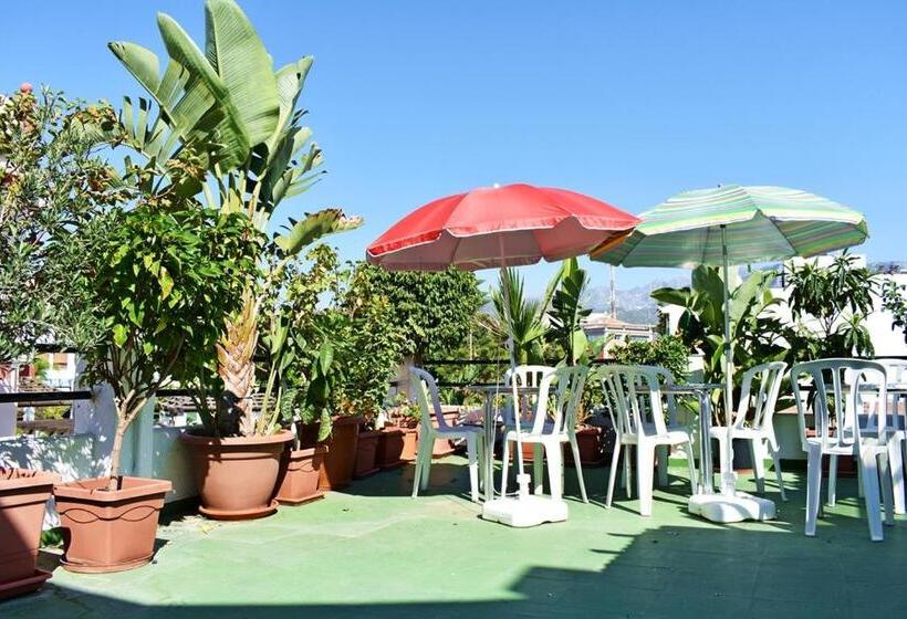 ペンション Hostal Sol Y Mar