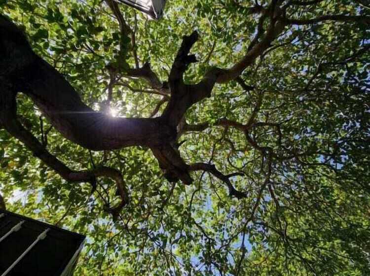 پانسیون Pousada Unaí