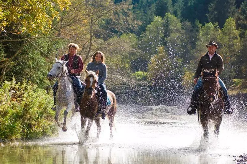 ペンション Zauchtaler Hof