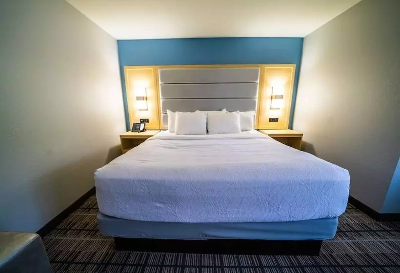 ホテル Best Western Brigham City Inn & Suites