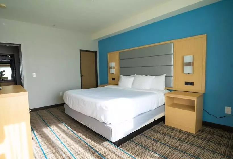 ホテル Best Western Brigham City Inn & Suites