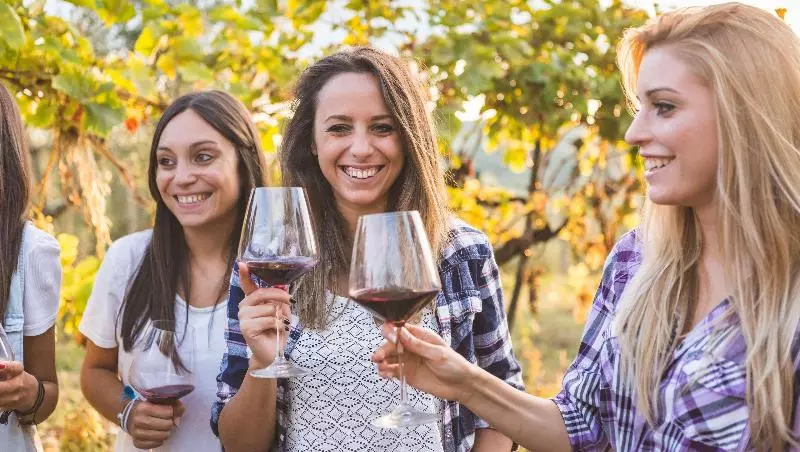 Отель Charles Wesley Motor Lodge