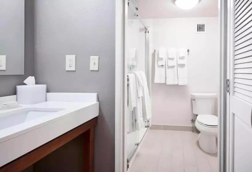 فندق Courtyard Cincinnati Airport South/florence