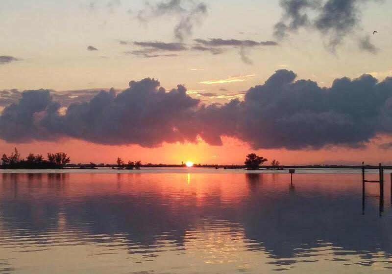 酒店 Davis House Inn