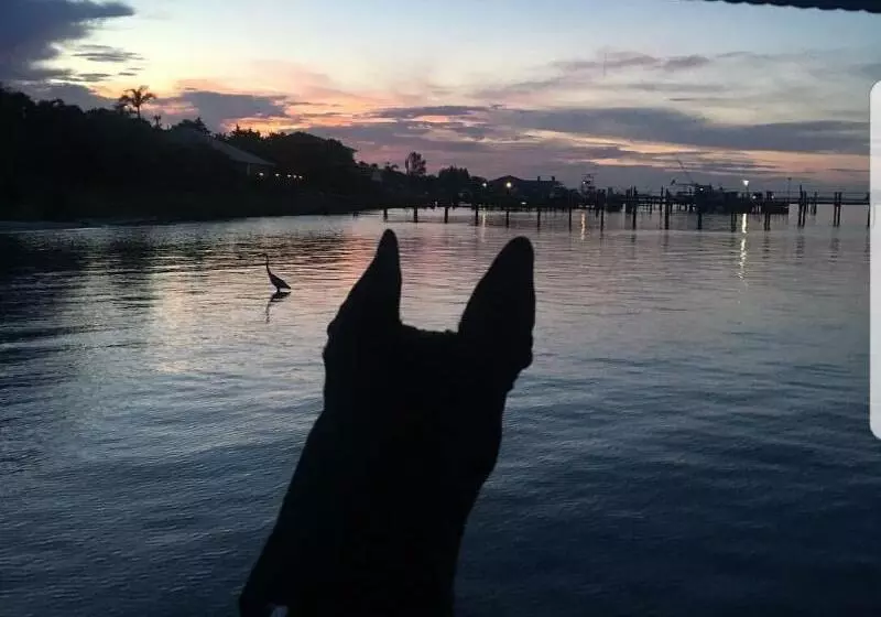 호텔 Davis House Inn