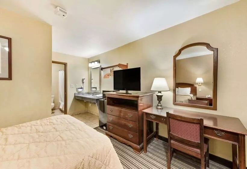 ホテル Rodeway Inn