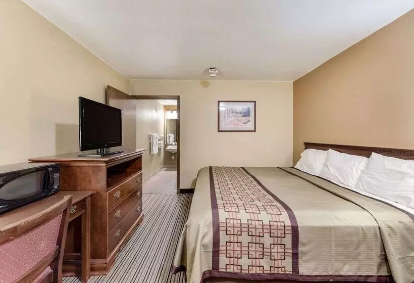 ホテル Rodeway Inn