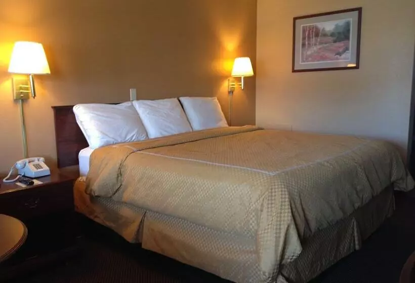 ホテル Rodeway Inn