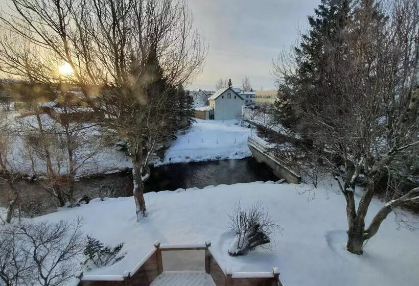 پانسیون Arbol Guesthouse