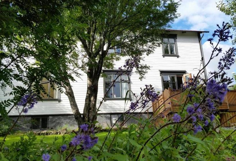 پانسیون Arbol Guesthouse