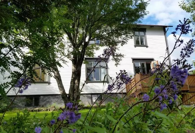 پانسیون Arbol Guesthouse