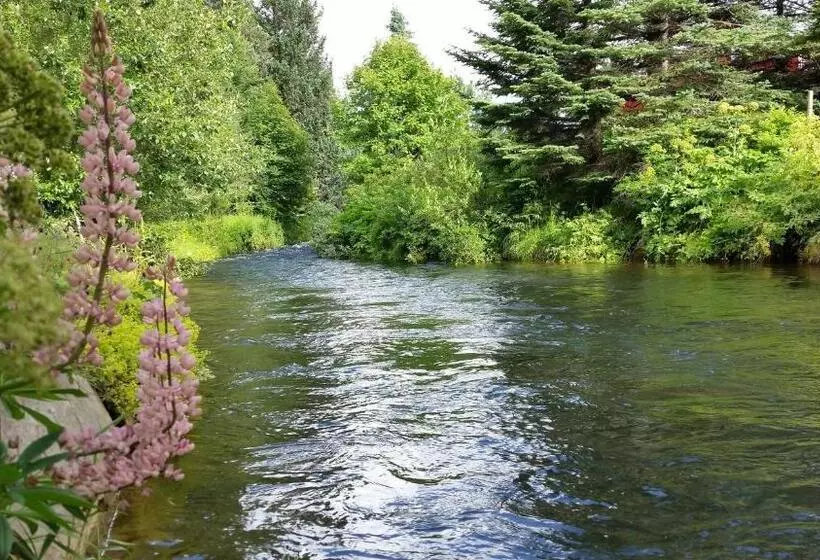 پانسیون Arbol Guesthouse