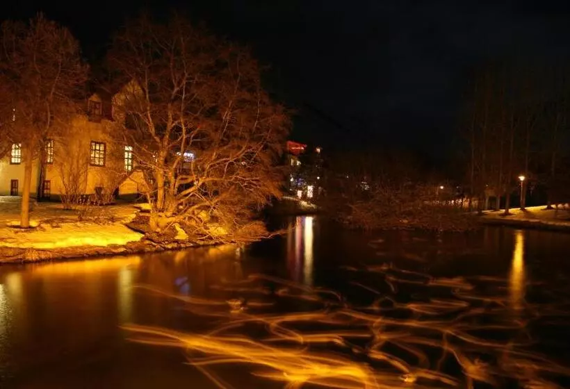 پانسیون Arbol Guesthouse