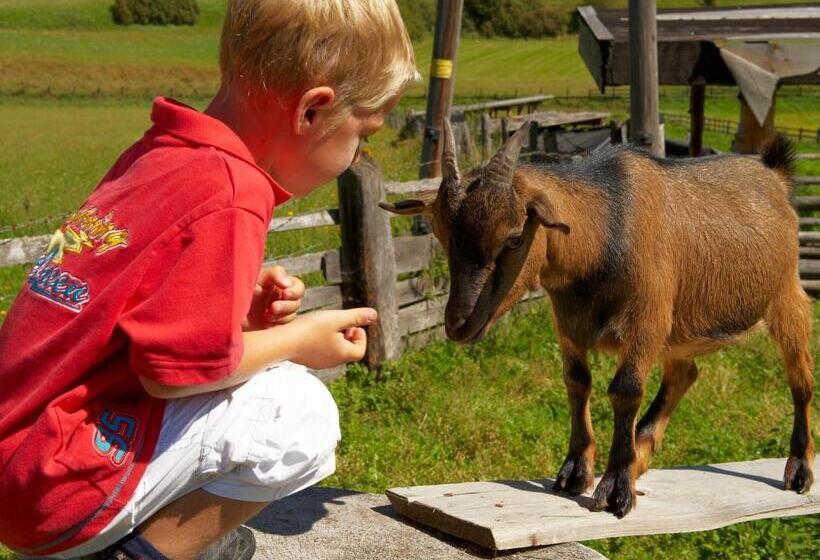 بنسيون Blasiwirt