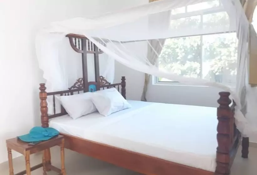 ベッドアンドブレックファースト Storm Sailor Villa