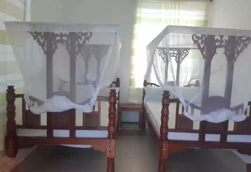 ベッドアンドブレックファースト Storm Sailor Villa