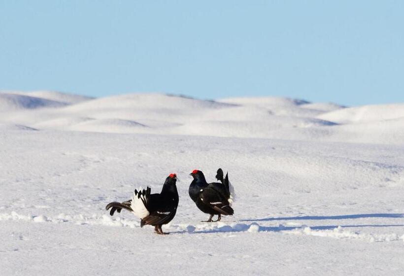 בית מלון כפרי Zeit & Traum