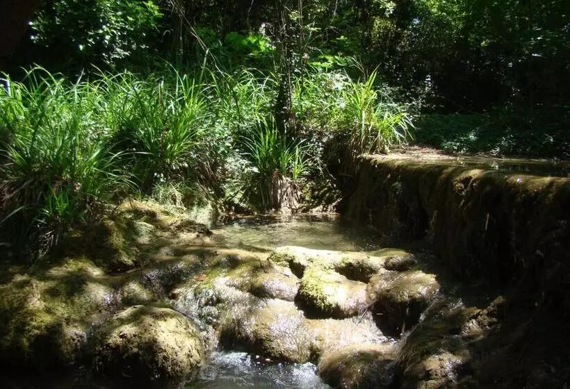 Aamiaismajoitus (B&B) La Ruche